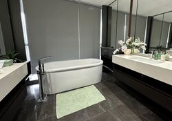 Amber Park (D15), Condominium #576294331